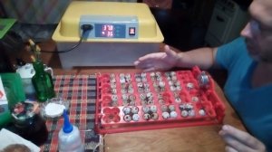 Первая закладка в китайский инкубатор И-24