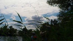 В продолжение темы finezza & yamaga