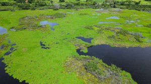 Как жили древние москвичи