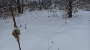 Покатушки на снегоходе irbis Dingo.