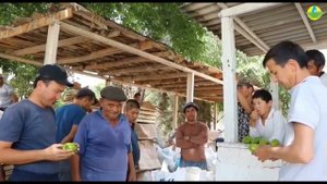 Самый урожайный болгарский перец ФЕРРАРИ