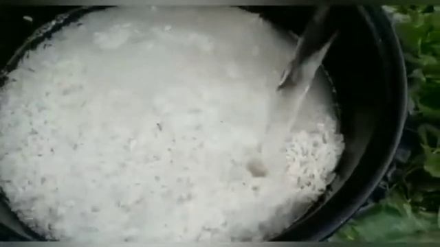 Самый вкусный плов на костре | Рецепт настоящего Таджикского плова | Осторожно голодным не смотреть