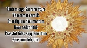 Tantum ergo Sacramentum lyrics/ Holy Hour Hymn/Eucharistic Adoration/ Chant Catholic