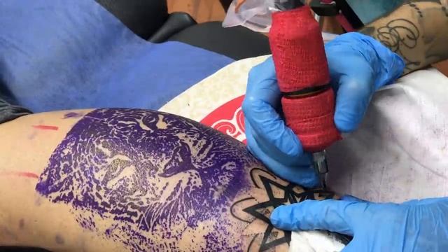 How to tattoo TIGER - TATTOO TIME LAPSE смотреть онлайн