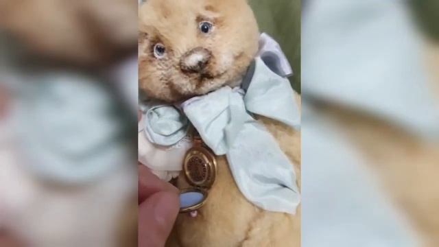 Мишка Тедди ищет свой дом.