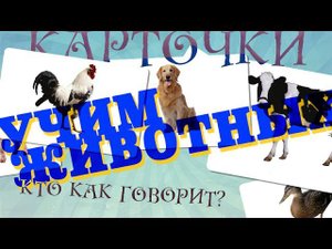 ГОЛОСА ЖИВОТНЫХ развивающие карточки по Гленну Доману, КТО КАК ГОВОРИТ, домашние животные