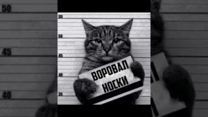 голоса Сансов из undertale