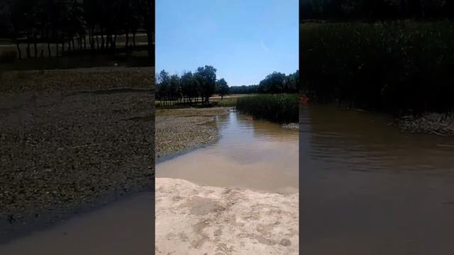 Kapaklı gençleri isa İsmail Tuncay yüksel смотреть онлайн