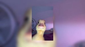 у нее были обычные карие глаза