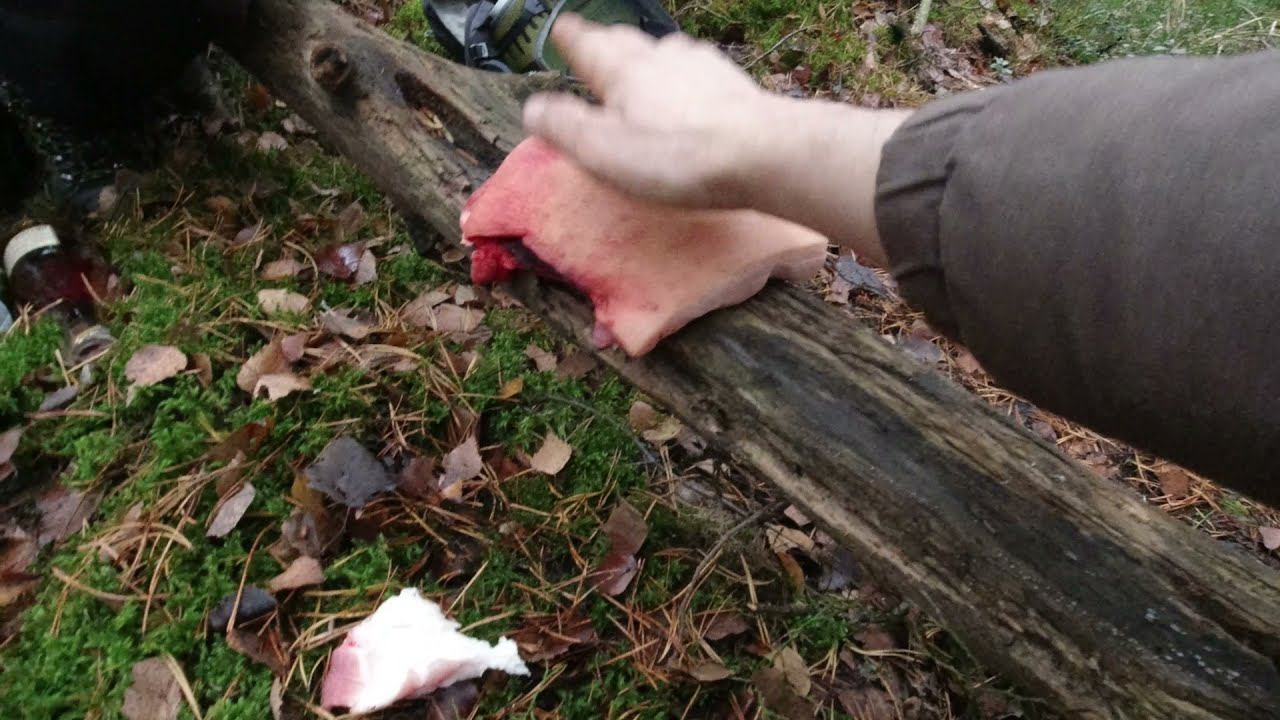 Выделка шкуры дикого кабана в лесу элитой бушкрафта. Промысла Мещеры. КукуруЗо. смотреть онлайн