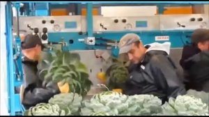 Невероятная сх техника. Лучшие тракторы и комбайны