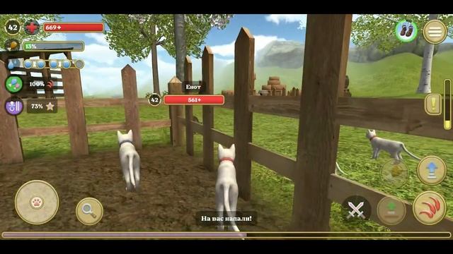 Cat Simulator #8: новая порода - Египетская Мау смотреть онлайн