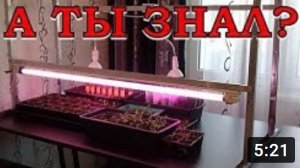 СУПЕР-ПОДСТАВКА для подсветки РАССАДЫ!???