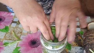 подорожник и его лечебные свойства #народнаямедицина