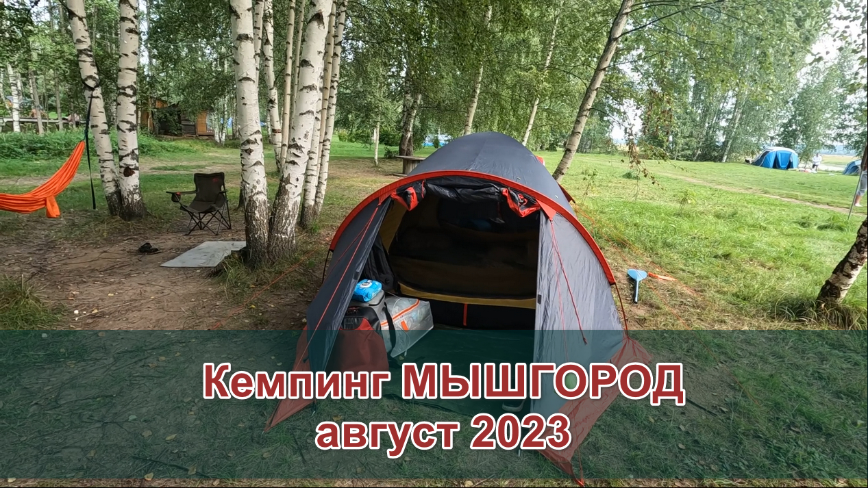 Поехали в кемпинг Мышгород с детьми, август 2023