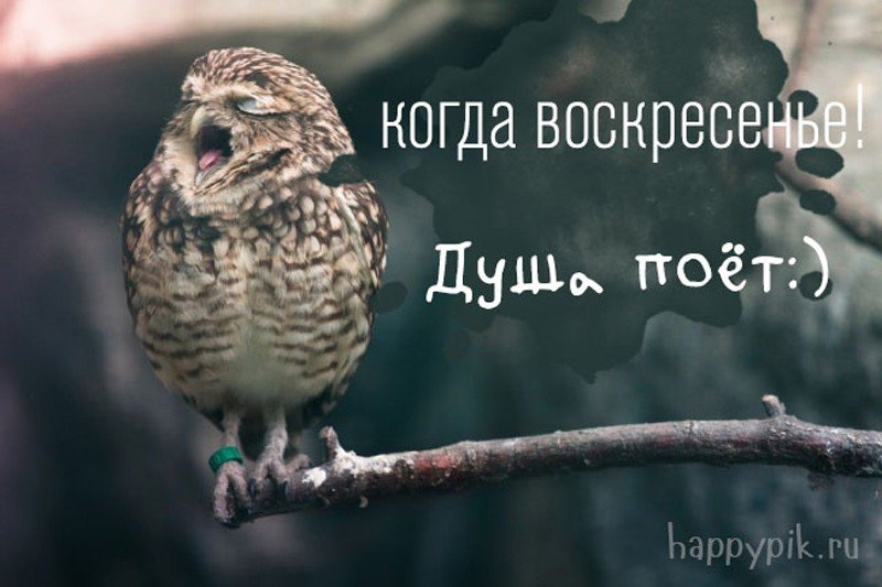 Доброго Воскресного Утра!