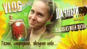 ДАЧНЫЙ ВЛОГ ? Как это было?!