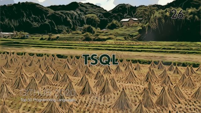 GitHub 2020 - 50 Most popular programming languages - ASMR