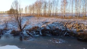 Охота на бобра проходными КАПКАНАМИ НА НОРАХ... ПРОВЕРКА... Попались зачетные ОСОБИ!!!
