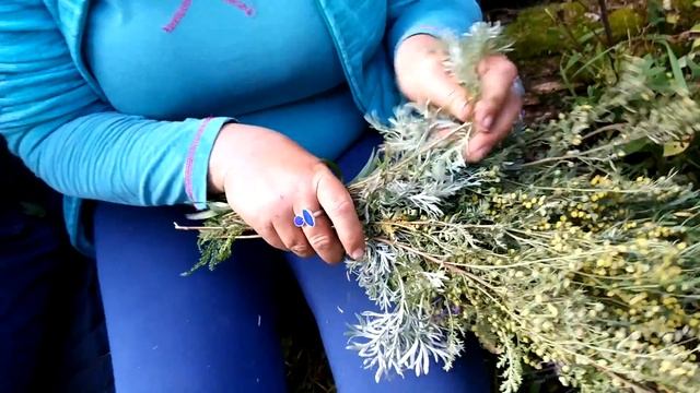 Алтай / Путешествие на лошадях смотреть онлайн