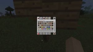 ПОСТРОИЛ ДОМ ЗА 30 СЕКУНД БЕЗ МОДОВ В МАЙНКРАФТ | КОМАНДНЫЙ БЛОК | 0+