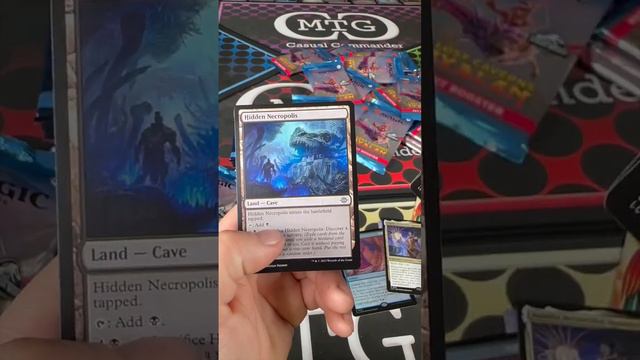 Savannah Lion Value Battle - Alex - MTG Casual Commander (6 of 18)#mtg #savannahlion #mtgfam #battl смотреть онлайн