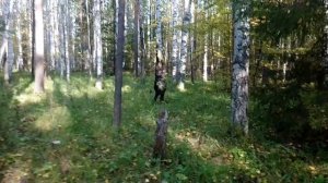ВСТРЕТИЛ ЛЕШЕГО В ЛЕСУ!