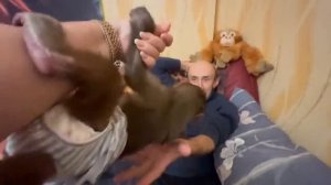Если вам ГРУСТНО, посмотрите это видео! Люська ЖЖЕТ не по детски!