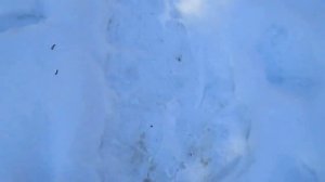 Приятные звуки. Скрип снега под ногами.