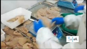 ИНТЕЛЛЕКТУАЛЬНАЯ МАШИНА ДЛЯ ГОРИЗОНТАЛЬНОЙ НАРЕЗКИ IFQJ500-II.mp4