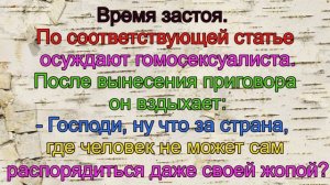Смешные анекдоты про котёнка, тигрёнка, мужские трусы и ласкового фермера