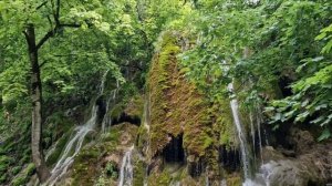 Экскурсии из Нафталана в район Гах водопад Мамырлы и Шеки