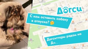 Догси.ру – Сидим с собакой, пока вы в отъезде