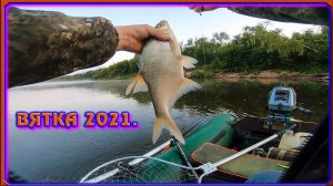 Рыбалка на реке Вятке. 26 июля, утро. Сезон 2021.