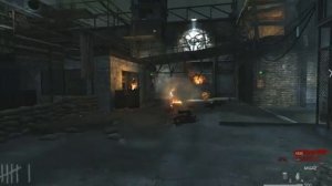 Call of Duty 5   World at War зомби рейха , великан 3