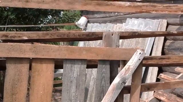 Индюшата Hybrid Converter Хайбрид Конвертер 1.5 месяца . смотреть онлайн