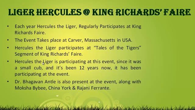 Liger Hercules at King Richards' Faire смотреть онлайн