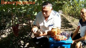 Басанти Подведение итогов 2020г