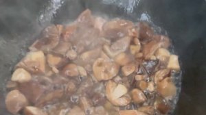 Картошка с грибами в казане