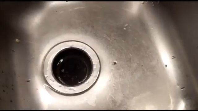 Отзыв на Bone Crusher 800 смотреть онлайн