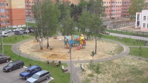 Драки собак  в стаях - обычное дело в городах Подмосковья