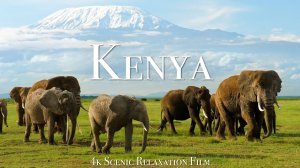 Кения В 4К Африка Релакс Видео С Музыкой Для Медитации
Kenya & Masai Mara 4K