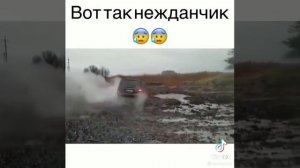 Упс... ???