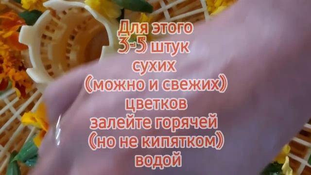Каждый год заготавливаю эти цветы/Чай из бархатцев-вкусный и полезный смотреть онлайн