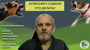 Анатолий Котенко. КЦ Барс. Агрессия собаки. Что делать?