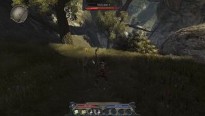 Divinity II Developer's Cut. Обзор-мнение.