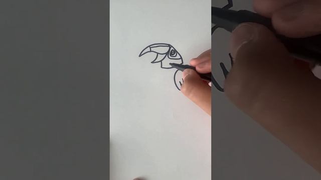 Тукан,как его нарисовать, тропическая птица. How to draw a toucan(bird) #howtodraw #drawing