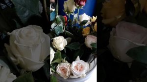 Какая температура должна быть в холодильнике для роз