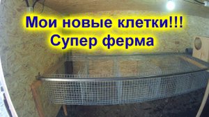 Мои полупромышленные клетки для кроликов !!! ПЕРВЫЙ ОПЫТ !!!!!