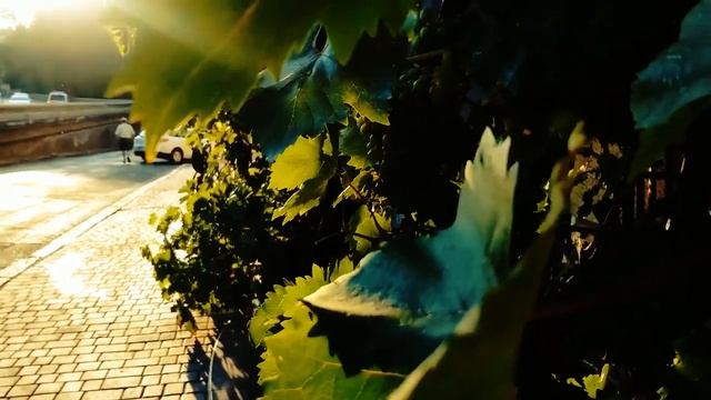 УТЁСОВ. ПЕСНИ ПРО ОДЕССУ. Посвящается любимому городу. смотреть онлайн